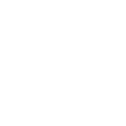Axon Enterprise Inc. logo
