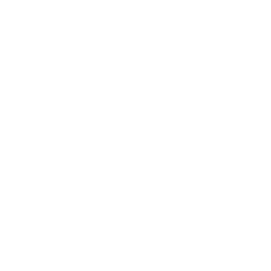 Visa Inc. Class A logo